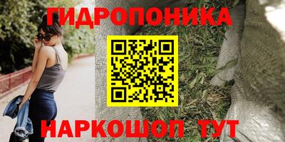 эйфоретик Краснознаменск