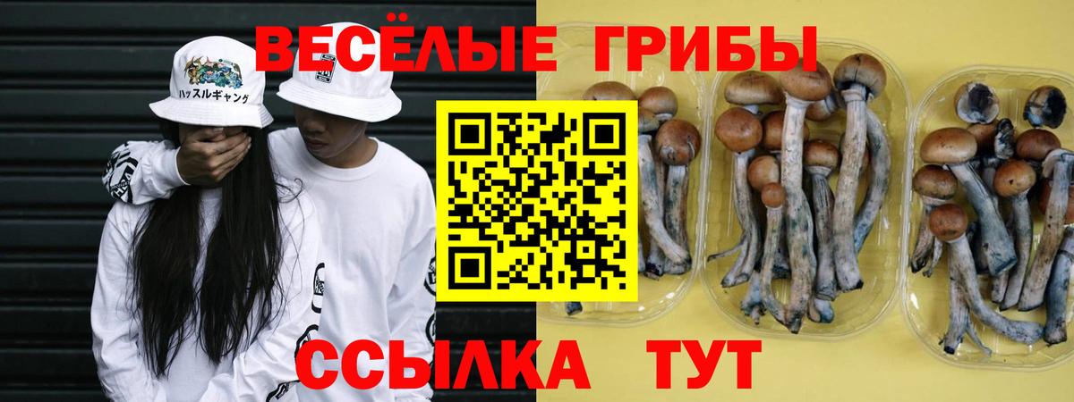 Йошкар-Ола  Галлюциногенные грибы Psilocybine cubensis  Вход с VPN 