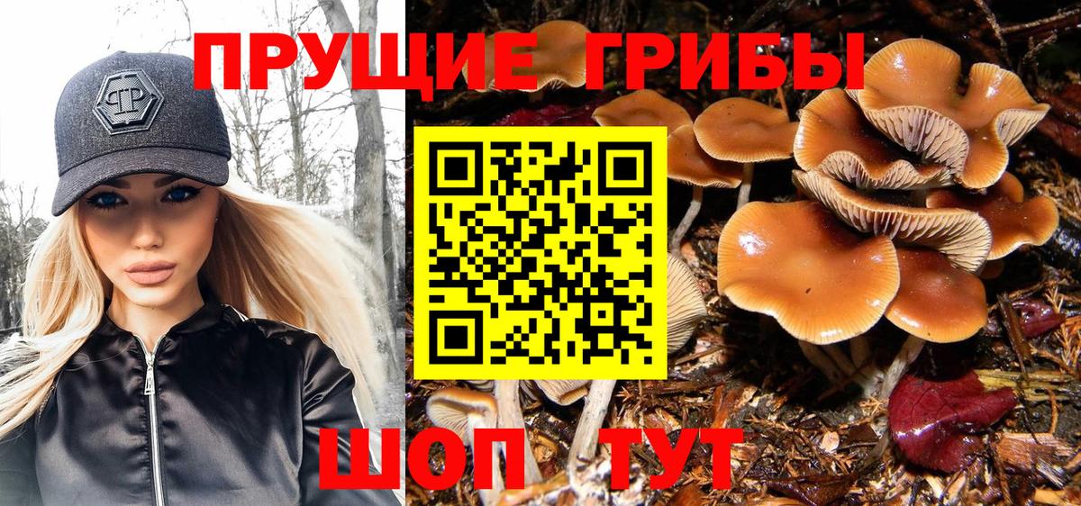 Галлюциногенные грибы ЛСД Йошкар-Ола